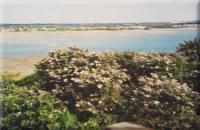 River & See Views!