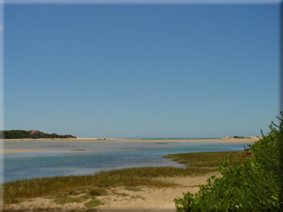 River Mouth View