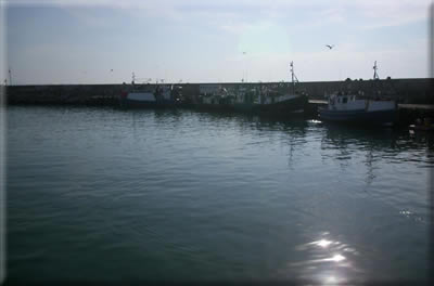 Moored Fishing Vessels