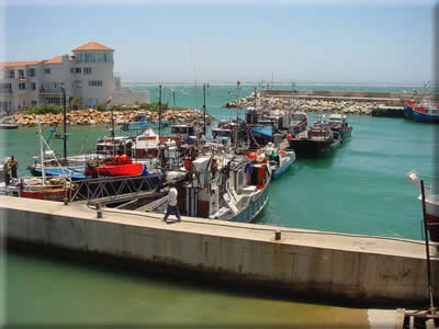 Moored Fishing Vessels