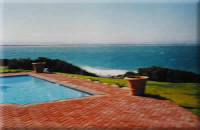 Glorious Day for a Swim!