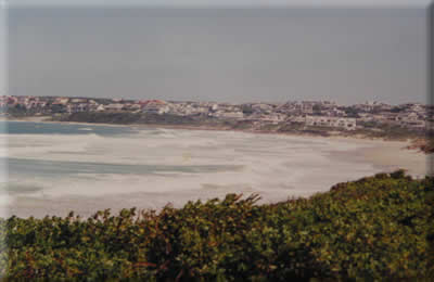 Views Of The Bay!