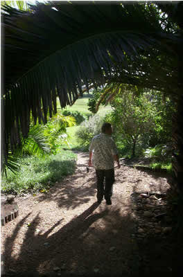 Village Walks