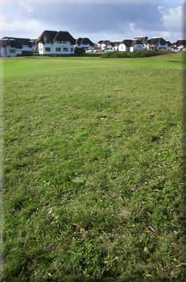 Village on Course