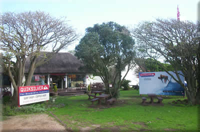 Surf and Coffee Shop