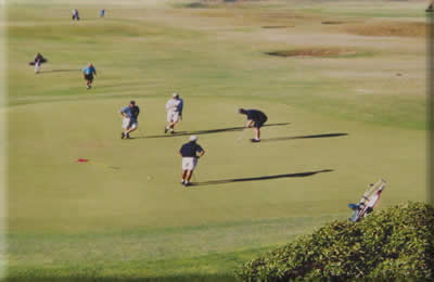 Golfers!